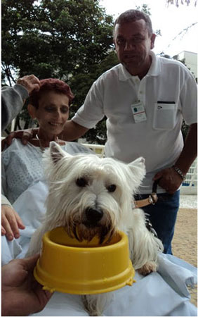 Cão tomando água