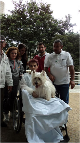 Cão com paciente