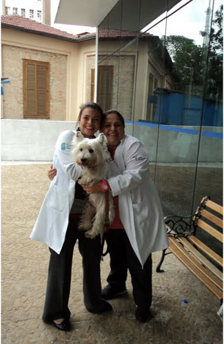 Cão com enfermeiras