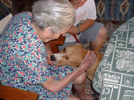 Cão com mulher idosa