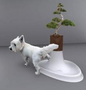 Sanitário de Cachorro